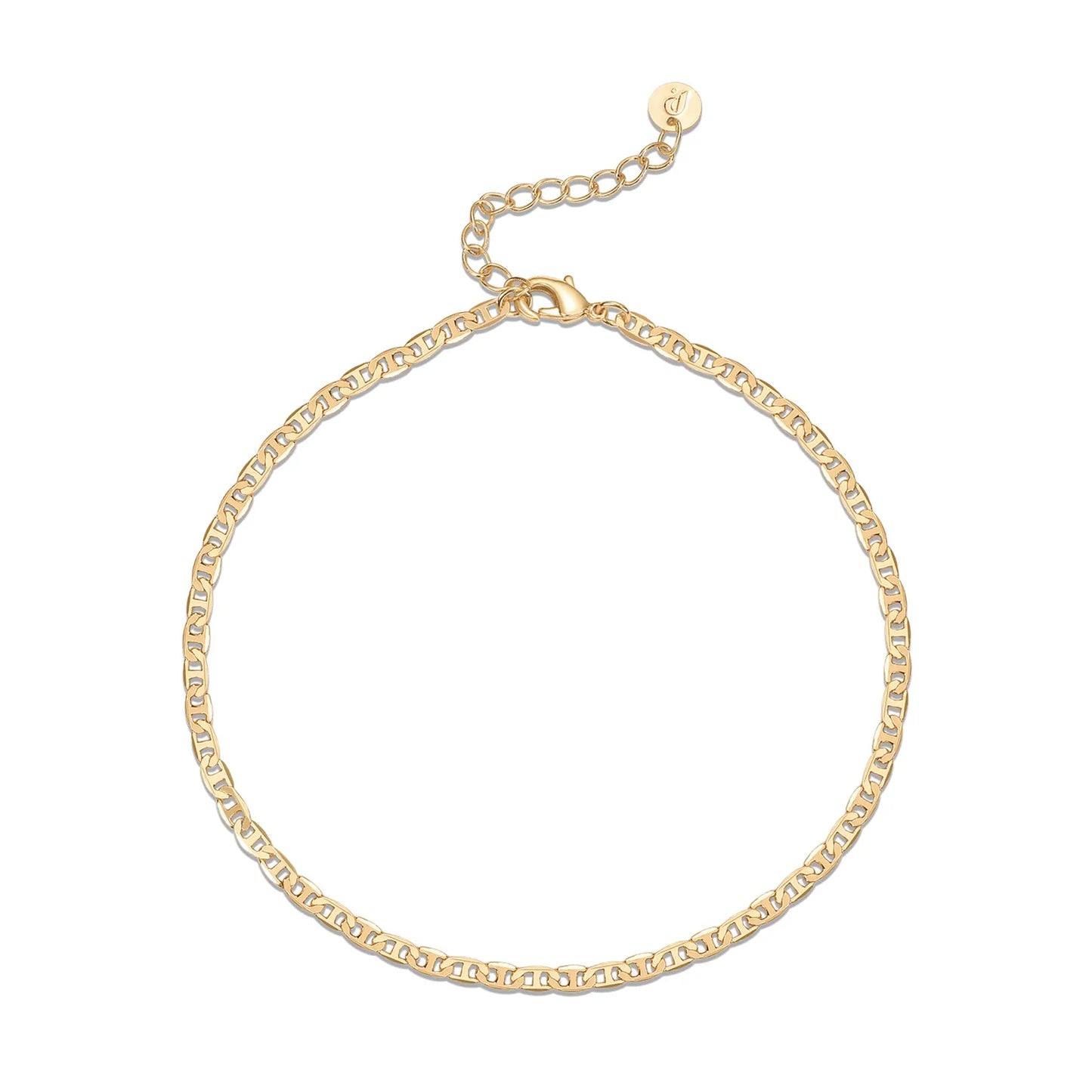 14K Gold Plated Luxe Anklet